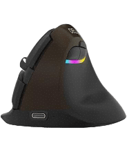 Ergonomic Mouse